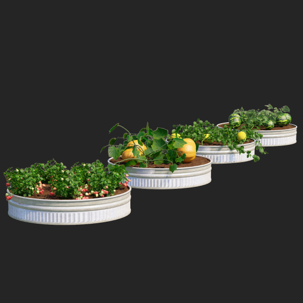Kitchen garden vol 2