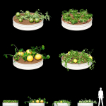 Kitchen garden vol 2