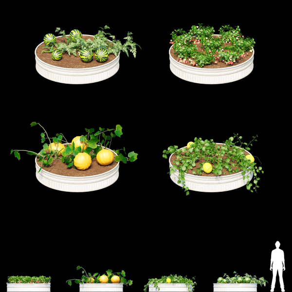 Kitchen garden vol 2