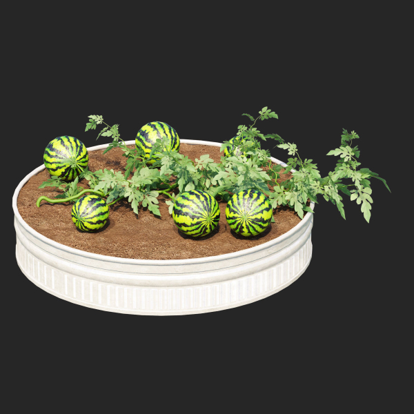 Kitchen garden vol 2