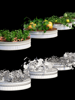 kitchen-garden-vol-2-3d-model-91a1f2a477