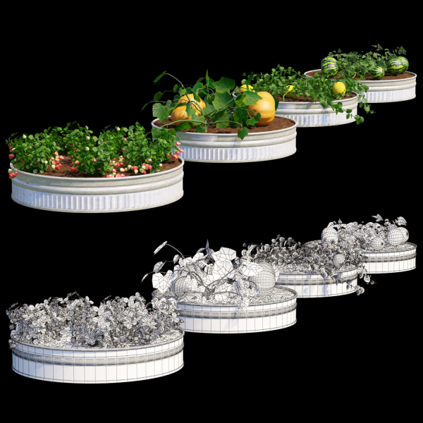 Kitchen garden vol 2
