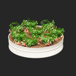 Kitchen garden vol 2
