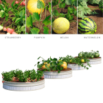 Kitchen garden vol 2