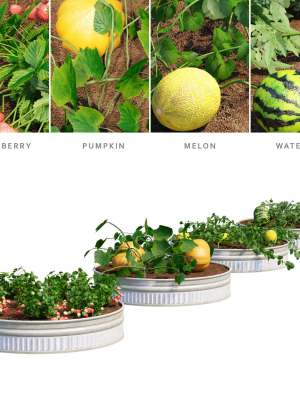 Kitchen garden vol 2