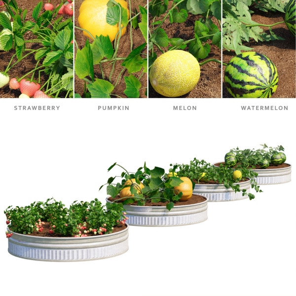 Kitchen garden vol 2
