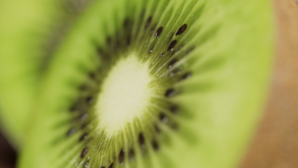 Kiwi green