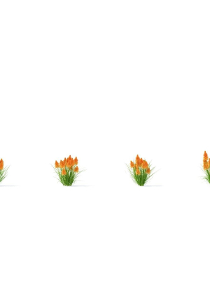 kniphofia-flower-3d-model-a6e37c1b5d