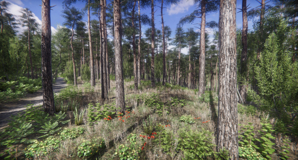 Lake Coniferous - Environment Unity