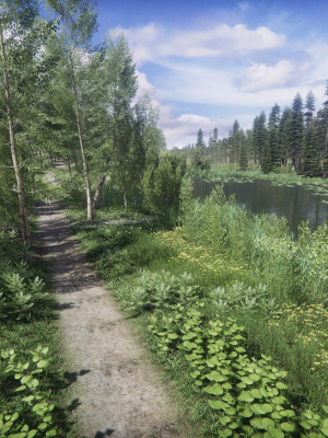 lake-coniferous-environment-unity-3d-model-0696374fd0