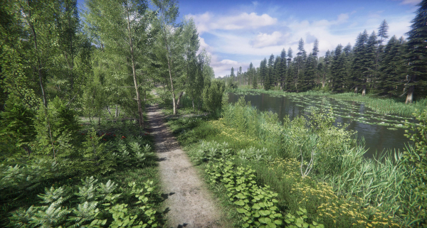 Lake Coniferous - Environment Unity