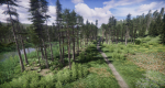 Lake Coniferous - Environment Unity