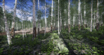 Lake Coniferous - Environment Unity