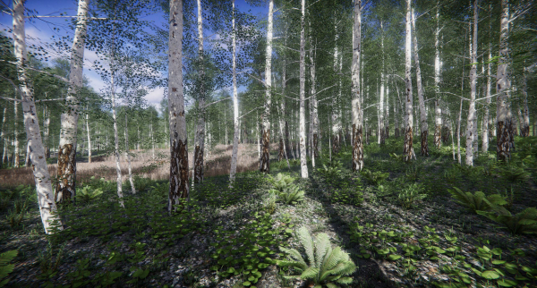 Lake Coniferous - Environment Unity