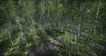 Lake Coniferous - Environment Unity