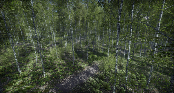 Lake Coniferous - Environment Unity