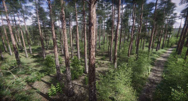 Lake Coniferous - Environment Unity
