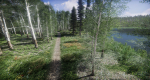 Lake Coniferous - Environment Unity