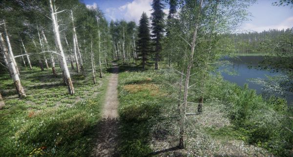 Lake Coniferous - Environment Unity