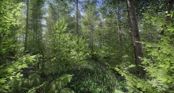 Lake Coniferous - Environment Unity