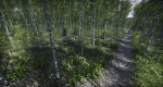 Lake Coniferous - Environment Unity