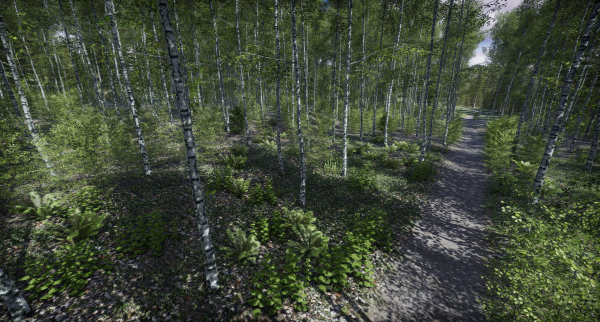 Lake Coniferous - Environment Unity
