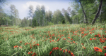 Lake Coniferous - Environment Unity