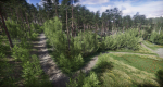 Lake Coniferous - Environment Unity