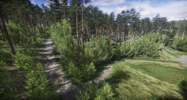 Lake Coniferous - Environment Unity