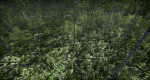 Lake Coniferous - Environment Unity