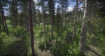 Lake Coniferous - Environment Unity