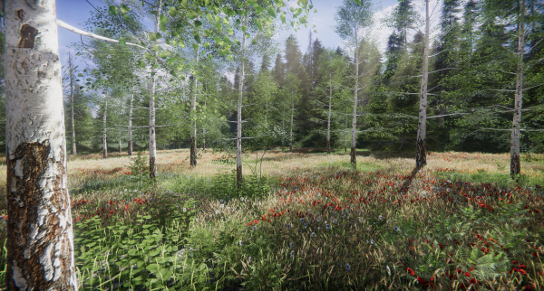 Lake Coniferous - Environment Unity
