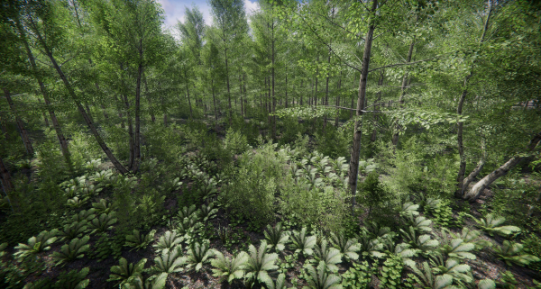 Lake Coniferous - Environment Unity
