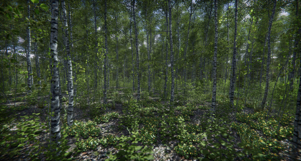 Lake Coniferous - Environment Unity