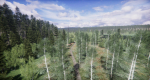 Lake Coniferous - Environment Unity