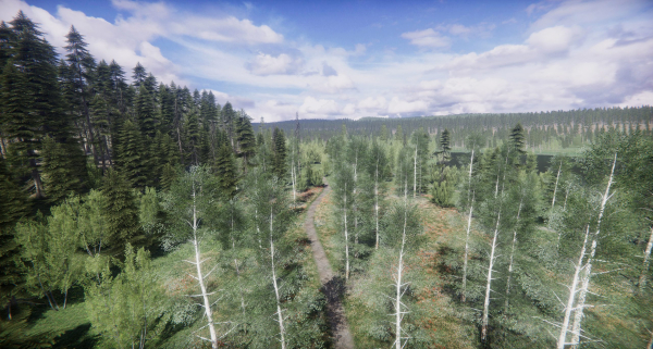 Lake Coniferous - Environment Unity