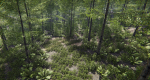 Lake Coniferous - Environment Unity