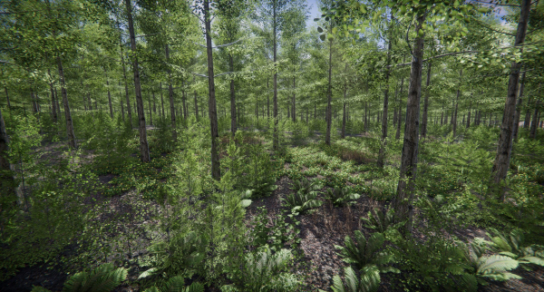 Lake Coniferous - Environment Unity
