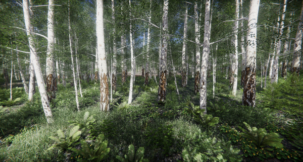 Lake Coniferous - Environment Unity