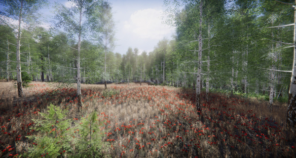 Lake Coniferous - Environment Unity