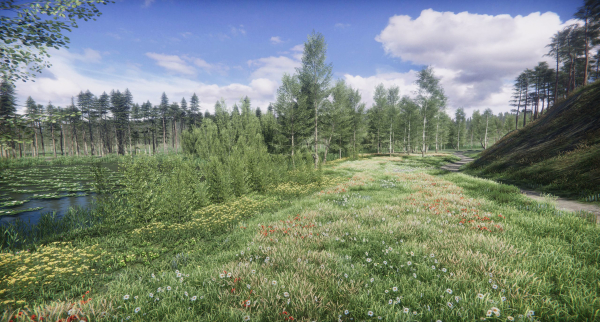 Lake Coniferous - Environment Unity
