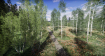 Lake Coniferous - Environment Unity