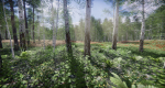 Lake Coniferous - Environment Unity
