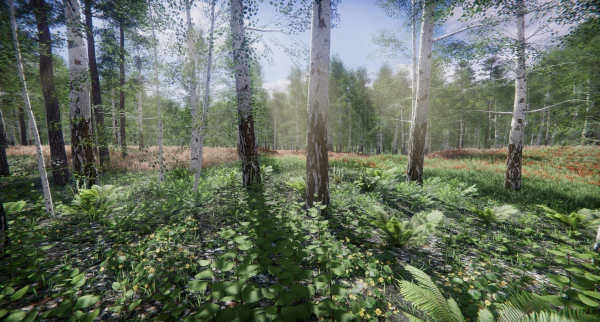 Lake Coniferous - Environment Unity