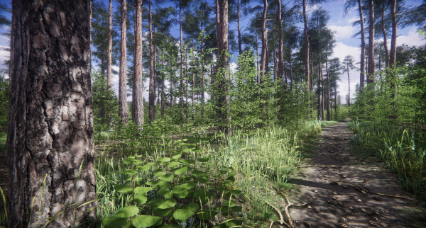 Lake Coniferous - Environment Unity