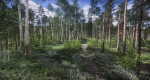 Lake Coniferous - Environment Unity