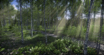 Lake Coniferous - Environment Unity