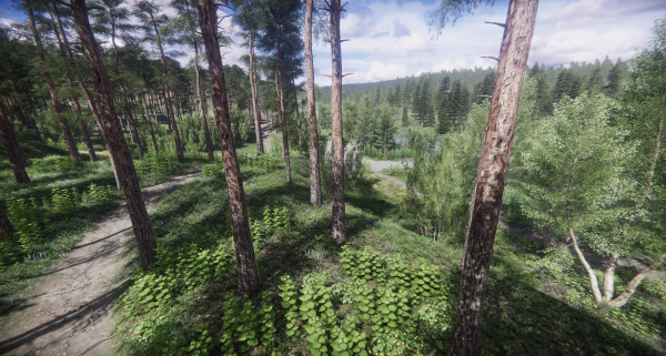 Lake Coniferous - Environment Unity