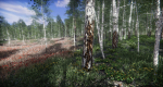 Lake Coniferous - Environment Unity