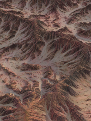 Landscape 83